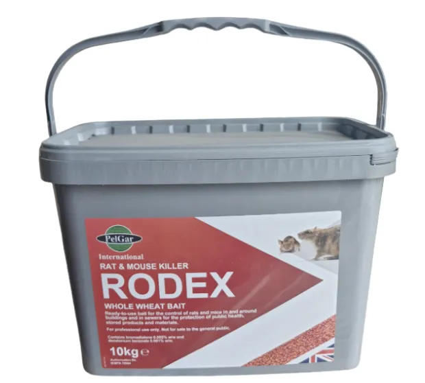 Rodex Whole Wheat 10 KG